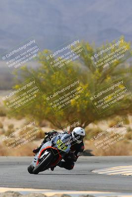 media/Apr-10-2022-SoCal Trackdays (Sun) [[f104b12566]]/Turn 5 Tree of Life (1040am)/